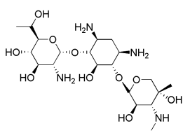 Gentamicin Structure