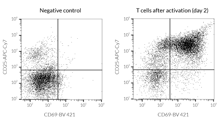 CD25 & CD69 cell surface staining after T cell activation