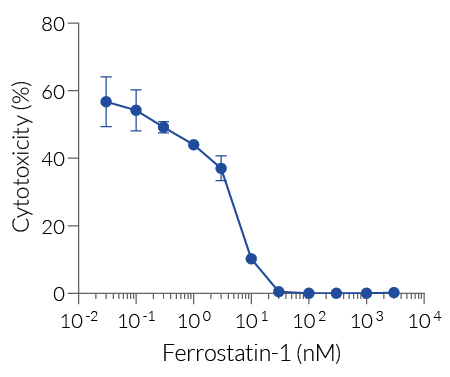 Ferroptosis inhibition by Ferrostatin-1 (LDH readout)