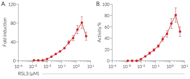 Ferroptosis induction by RSL3 (HMGB1-Lucia readout)