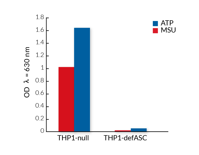 Reduced mature IL-1β secretion by THP1-defASC cells