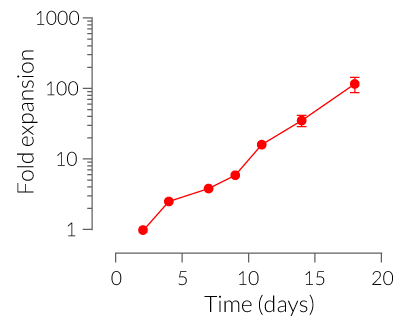 Human T cell expansion