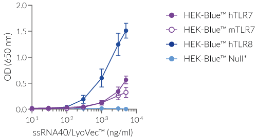 NF-κB response of HEK-Blue™-derived cells to ssRNA40/LyoVec™