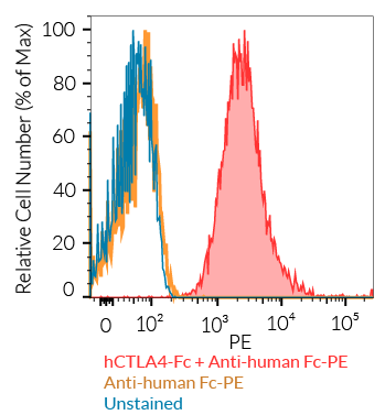 Cell surface staining using hCTLA4-Fc