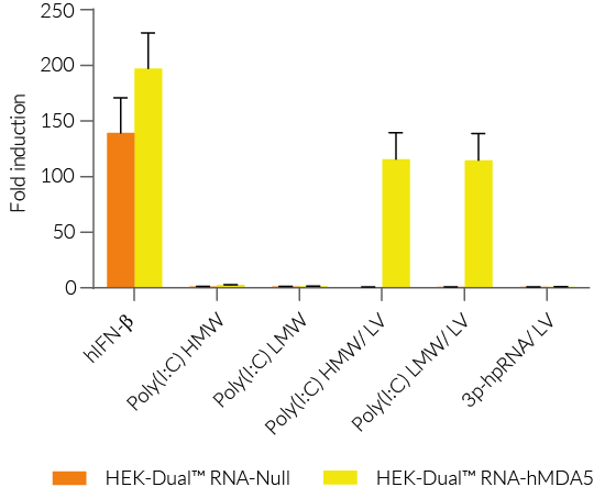 Functional validation of HEK-Dual™ RNA-derived cells (IRF responses)