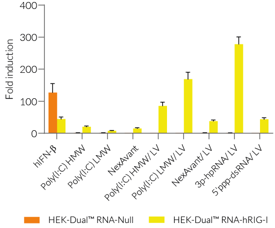 Functional validation of HEK-Dual™ RNA-derived cells (IRF responses)