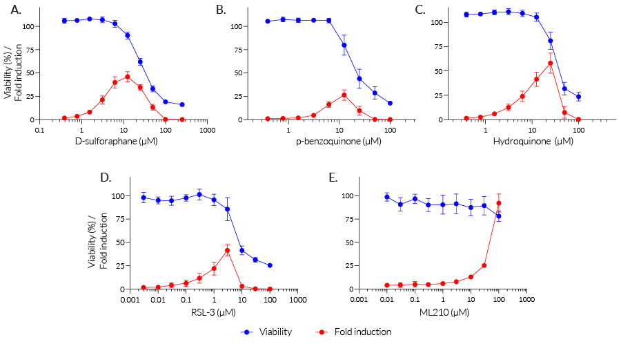 Oxidative stress induction in HEK-Lucia-Star™ ARE cells