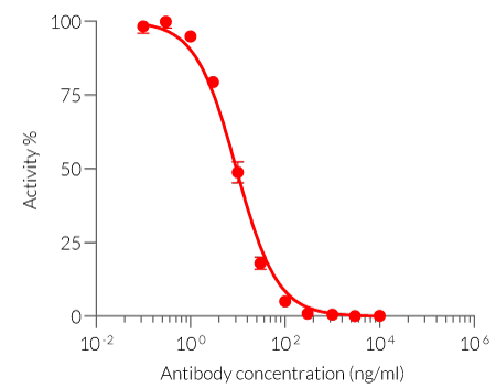 Neutralization of cellular response to IFN-α using Anifrolumab biosimilar