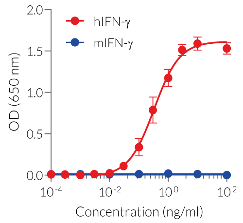 Cellular response to human and mouse IFN-γ