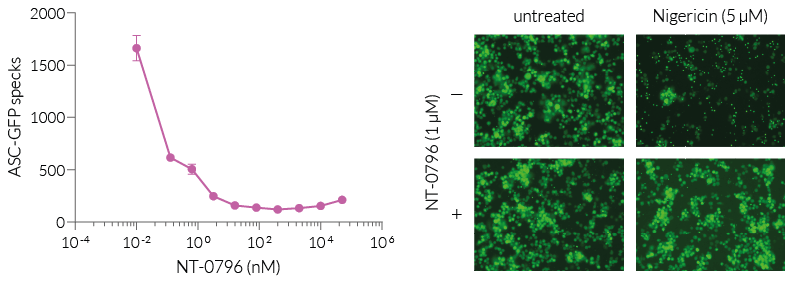 Inhibition of NLRP3-dependent ASC-GFP-speck formation