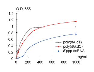 Responses of B16-Blue IFNalpha/beta cells to dsDNA and dsRNA