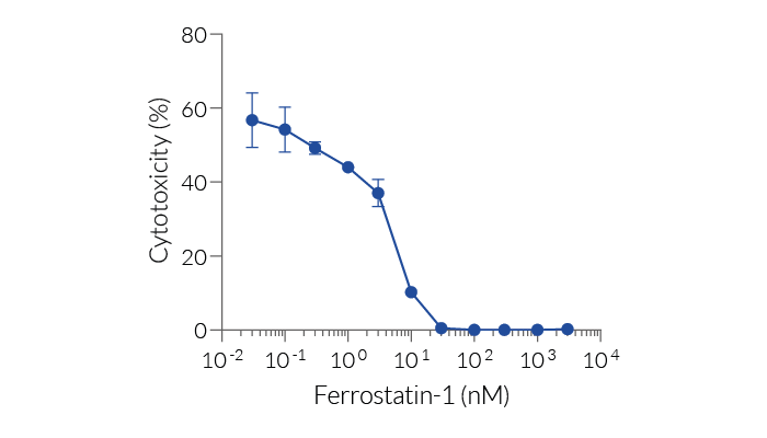 Ferroptosis inhibition by Ferrostatin-1 (LDH readout)