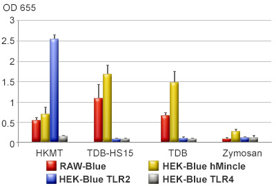 Responses to M. tuberculosis-derived ligands