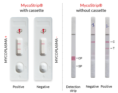 MycoStrip®