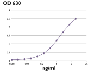 Activity of recombinant SEAP protein