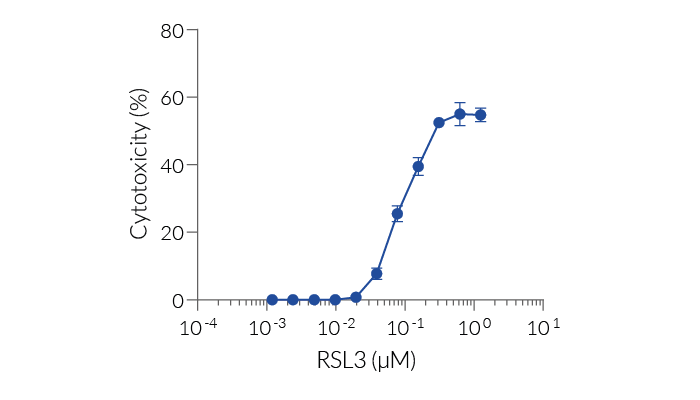 Ferroptosis induction by RSL3 (LDH readout)