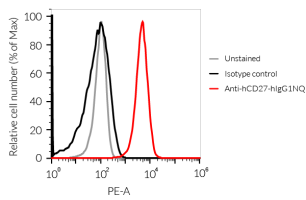 Binding of Anti-hCD27-hIgG1NQ mAb to human CD27 Binding of Anti-hCD27-hIgG1NQ mAb to human CD27