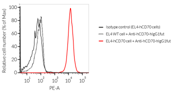 Binding of Anti-hCD70-hIgG1fut mAb to hCD70 Binding of Anti-hCD70-hIgG1fut mAb to hCD70