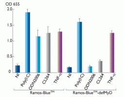 MyD88 dependent and independent responses in Ramos-Blue™ and Ramos-Blue™-defMyD