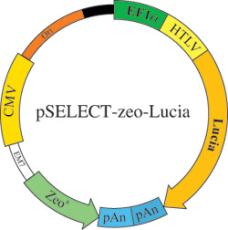 pSELECT-zeo-Lucia map pSELECT-zeo-Lucia map