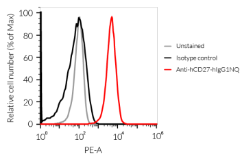 Binding of Anti-hCD27-hIgG1NQ mAb to human CD27 Binding of Anti-hCD27-hIgG1NQ mAb to human CD27