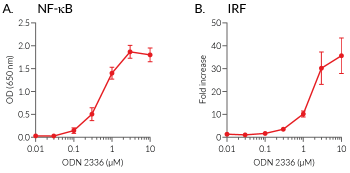 NF-κB and IRF responses induced by ODN 2336 NF-κB and IRF responses induced by ODN 2336