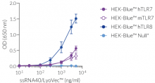 NF-κB response of HEK-Blue™-derived cells to ssRNA40/LyoVec™