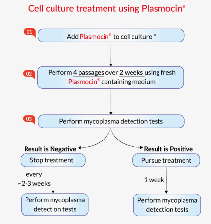 Cell culture treatment using Plasmocin®