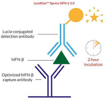 LumiKine™ Xpress hIFN-β 2.0