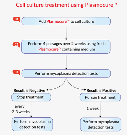 Cell culture treatment using Plasmocure™