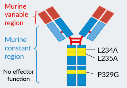 Fc silent mouse IgG2a (LALA-PG) control antibody