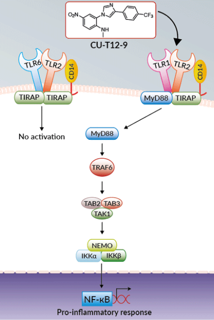 Activation of TLR2-TLR1 by CU-T12-9