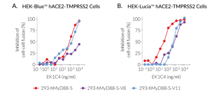Dose-dependent inhibition of Spike-mediated cell fusion by EK1C4