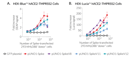 Spike-mediated cell fusion reporter assay
