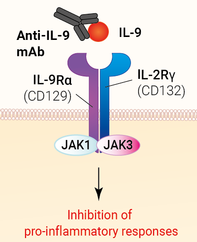 Binding of anti-IL-9 mAb