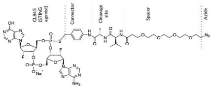STG-968 chemical structure