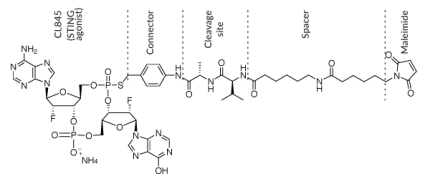 STG-982 chemical structure
