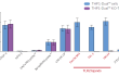 NF-κB responses in THP1-Dual™ KO-TLR2 cells