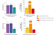 RNA-induced responses in THP1-Dual™ KO-IKKε cells