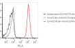 Binding of Anti-hCD70-hIgG1NQ mAb to hCD70 Binding of Anti-hCD70-hIgG1NQ mAb to hCD70