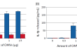 In vitro evaluation of non-canonical caspase 11 inflammasome activation	