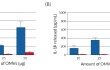 In vivo evaluation of non-canonical caspase 11 inflammasome activation