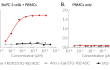 Biological activity of Anti-TROP2/STG-982 in co-cultures