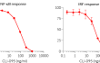 Inhibition of TLR4-dependent NF-κB and IRF responses using CLI-095 Inhibition of TLR4-dependent NF-κB and IRF responses using CLI-095