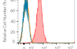 Cell surface staining using hICOS-L-Fc Cell surface staining using hICOS-L-Fc