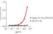 Recognition of Spike-S1-His (D614G) by an Anti-SARS-CoV-Spike (CR3022) human IgM