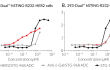 Biological activity of STG-968 conjugated to Anti-HER2-hIgG1
