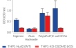 Mature IL-1β secretion profile by THP1-KO-GSDMD cells Mature IL-1β secretion profile by THP1-KO-GSDMD cells